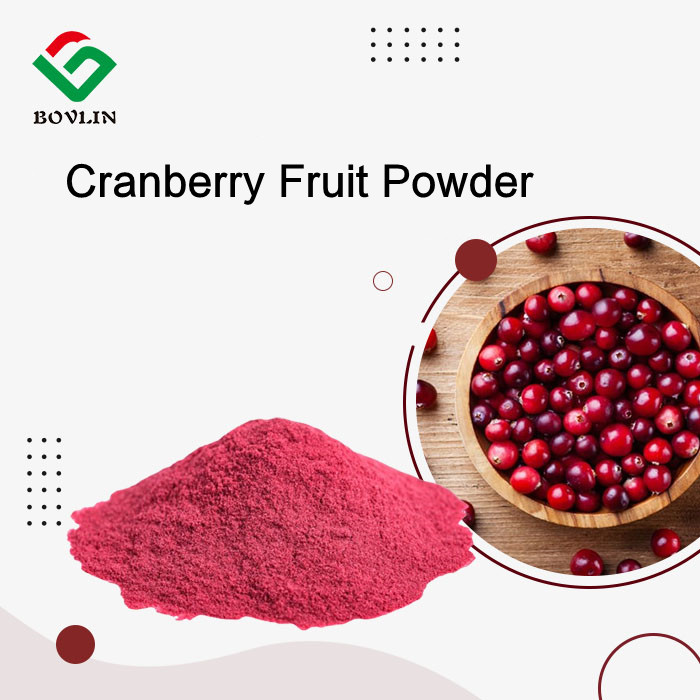 Cranberry Fruit Powder
